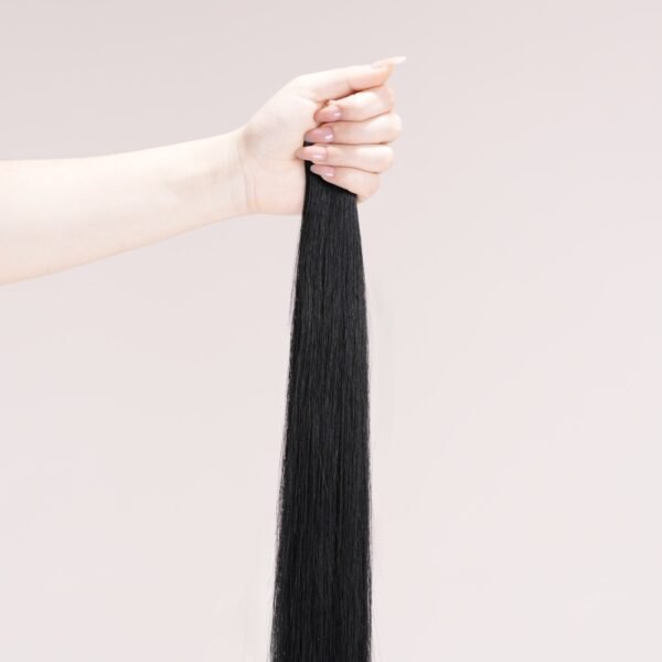 Tape In Hair Extensions #1 Black Swan