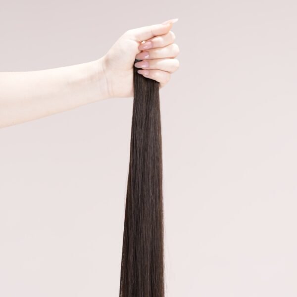 Tape In Hair Extensions #2 Earth Tone